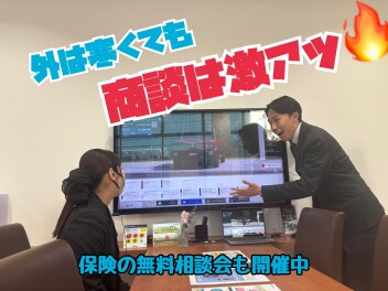 【1月最終週】たくさんの試乗車・展示車ご準備！！★自動車保険の無料相談会も開催中★